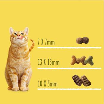 Корм сухой Friskies с говядиной, курицей и овощами для взрослых кошек 10кг - купить, цены на MasterZoo - фото 4