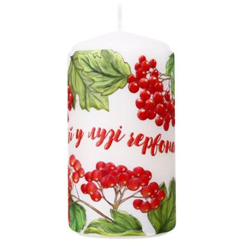 PAKO-IF Guelder Rose Candle - buy, prices for Vostorg - photo 1