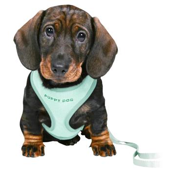 Leash Trixie Germany - buy, prices for MasterZoo - photo 6