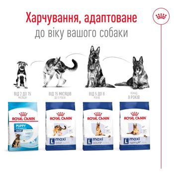 Корм сухой Royal Canin Maxi Adult с домашней птицей для собак больших пород 3кг - купить, цены на MasterZoo - фото 6