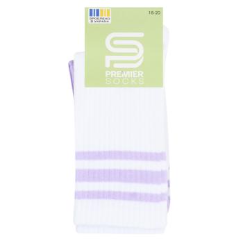 Набір шкарпеток дитячих Premier Socks високі зі смужками р.16-22 3 пари