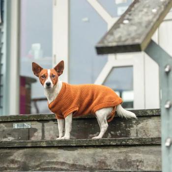 Trixie CityStyle Berlin Sweater for Dogs s.M Orange - buy, prices for MasterZoo - photo 5
