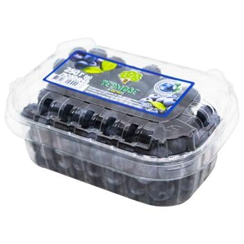 Fresh Blueberries 250g - buy, prices for - photo 18