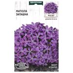 Seeds of Ukraine MAXI Fragrant Matthiola Seeds 10g