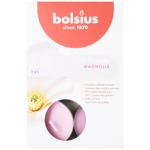 Свічка Bolsius True Scents магнолія 6шт