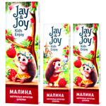 Пастила Jay&Joy малина 32г