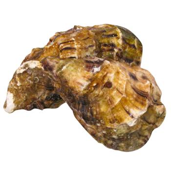 Fin de Clair Oyster №1 - buy, prices for METRO - photo 3