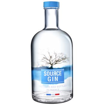 Source Gin 43% 0.7l - buy, prices for WINETIME - photo 1