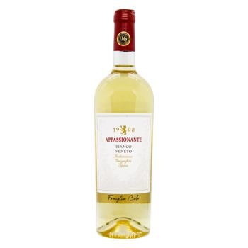 Cielo Appassionante Bianco Veneto IGT White Dry Wine 12.5% 0.75l - buy, prices for - photo 1