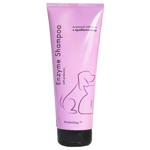 Shampoo Probioday 250ml