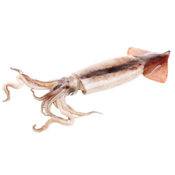Baby Squid 50/100 - buy, prices for METRO - photo 2