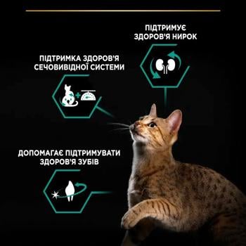 Корм сухой Purina Pro Plan Renal Plus с индейкой для стерилизованных кошек 400г - купить, цены на MasterZoo - фото 4