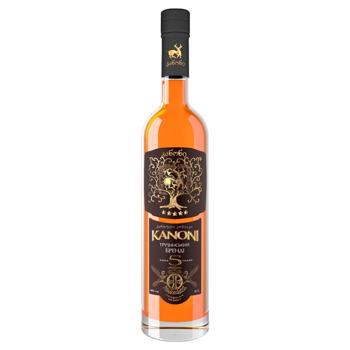 Kanoni 5yo Cognac 40% 0.5l - buy, prices for Supermarket "Kharkiv" - photo 1