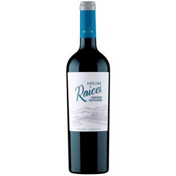 Вино Andeluna Raices Cabernet Sauvignon червоне сухе 14,3% 0,75л - купити, ціни на WINETIME - фото 1