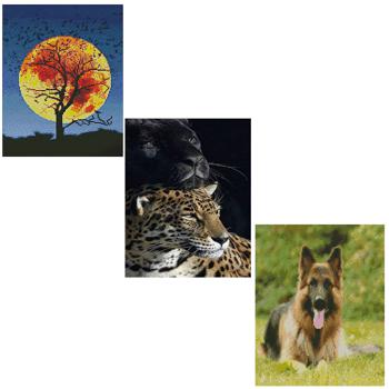 Набір для творчості Strateg Алмазна картина без коробки в асортименті 30*40см - купити, ціни на Таврія В - фото 1