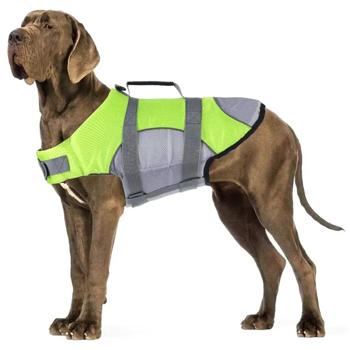 Vest Masterzoo - buy, prices for MasterZoo - photo 3