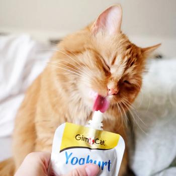 Ласощі для котів GimCat Yoghurt 150 г (молоко) - купить, цены на - фото 3