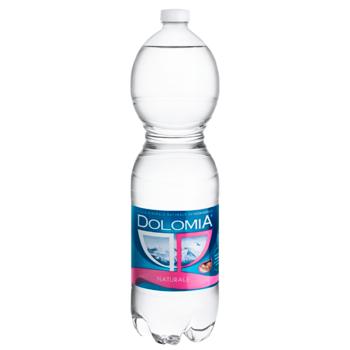 Dolomia Non-Carbonated mineral Water 1.5l - buy, prices for AlcoHub - photo 1