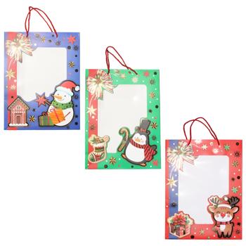 Paper Gift Bag 39x30x12cm in Assortment