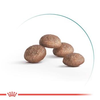 Royal Canin Ageing Sterilised 11+ Dry Food for Sterilized Older Cats 2kg - buy, prices for MasterZoo - photo 2