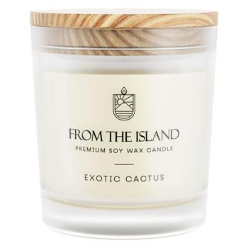 From The Island Exotic Cactus Scented Candle 250ml - buy, prices for Biotus - photo 1