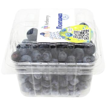 Голубика Artberry 500г