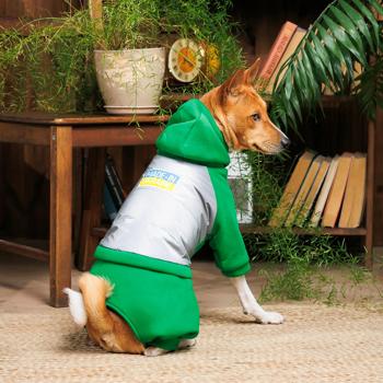 Pet Fashion Leaf Suit for Dogs s.M - buy, prices for - photo 7