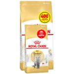 Корм сухий Royal Canin Adult з домашньою птицею для котів породи британська короткошерста 2кг+400г
