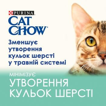 Корм влажный Cat Chow Hairball с курицей и фасолью для вывода шерсти у кошек 85г - купить, цены на MasterZoo - фото 2