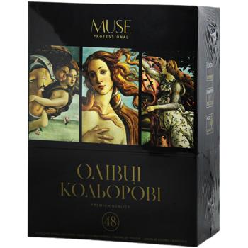 Олівці Muse кольорові тригранні 48 кольорів