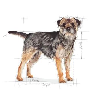 Корм сухой Royal Canin Mini Sterilized Adult для стерилизованных собак малых пород с лишним весом 3кг + миска - купить, цены на MasterZoo - фото 4