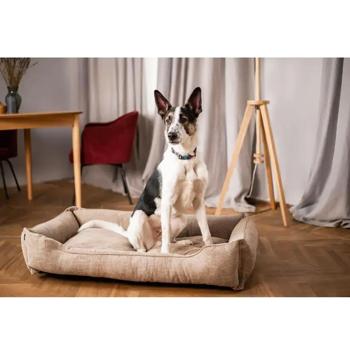 Лежак Harley and Cho Dreamer Cacao Velvet 110х70см бежевый - купить, цены на MasterZoo - фото 5