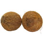 Coconut, pc