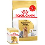 Набор корма Royal Canin Adult для собак породы йоркширский терьер сухой 1,5кг + влажный 4шт х 85г