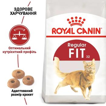 Набір корму Royal Canin Fit 32 для домашніх та вуличних котів cухий 2кг + вологий 4шт х 85г - купити, ціни на MasterZoo - фото 3