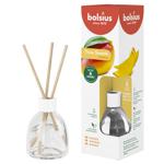 Bolsius Mango Reed Diffuser 60ml