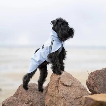 Raincoat Noble pet 4xl Ukraine - buy, prices for MasterZoo - photo 8