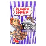 Попкорн Фанни шип 90г