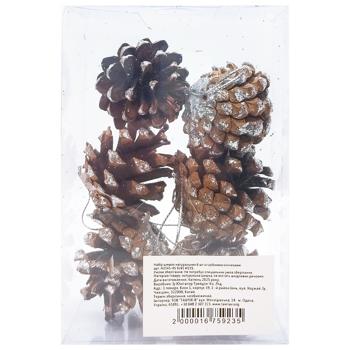 Набір шишок натуральних зі срібними кінчиками 6шт - купити, ціни на КОСМОС - фото 2