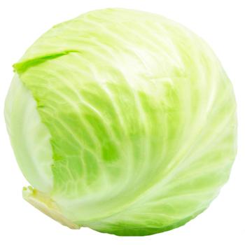 White Cabbage - buy, prices for Torba - photo 1