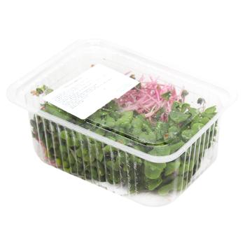 Микрогрин редиса 50г - купить, цены на МегаМаркет - фото 1