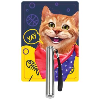 Dgt-Pets Laser Pointer Flashlight Cat Toy - buy, prices for Auchan - photo 1