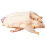 НАТУРВ ТУШКА ІНДИКА ЗАМ 5-8КГ