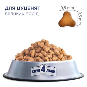 Club 4 Paws Premium Dry Food with Chicken for Puppies of Large Breeds 2kg - buy, prices for Tavria V - photo 2