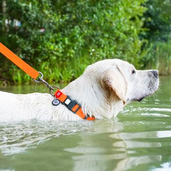 Ошейник для собак Waudog Waterproof водостойкий с QR паспортом 28-40см/20мм оранжевый - купить, цены на MasterZoo - фото 4
