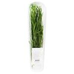 Rosemary 50g