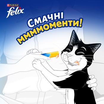 Felix Deli Moments Additional Feed with Chicken for Adult and Senior Cats 40g - buy, prices for MasterZoo - photo 5