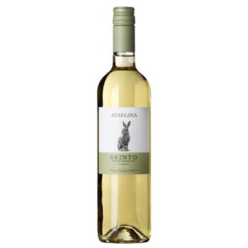 Ataegina Arinto DOC White Semi-Dry Wine 12% 0.75l - buy, prices for NOVUS - photo 1