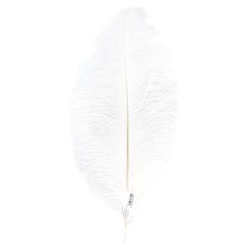 Ostrich Feathers 40-45cm 1pc in Assortment - buy, prices for Za Raz - photo 4