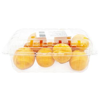 Apricot - buy, prices for Tavria V - photo 1